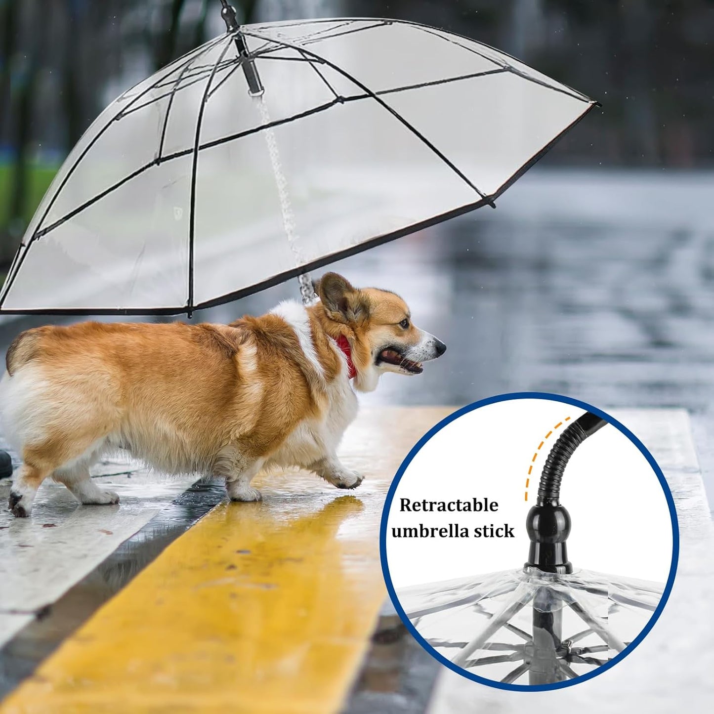 Dog's Transparent Umbrella With Traction Chain Removable Umbrella