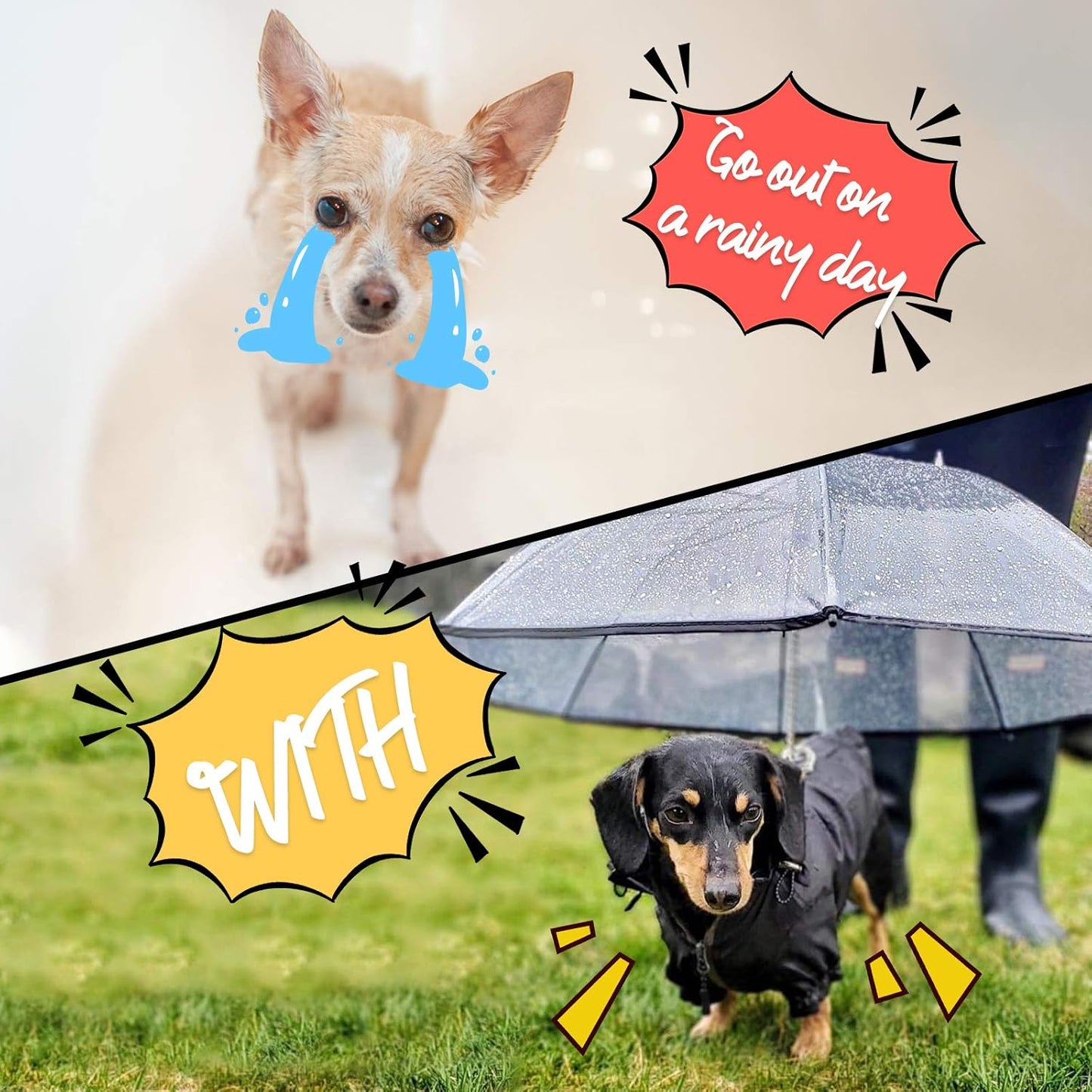 Dog's Transparent Umbrella With Traction Chain Removable Umbrella