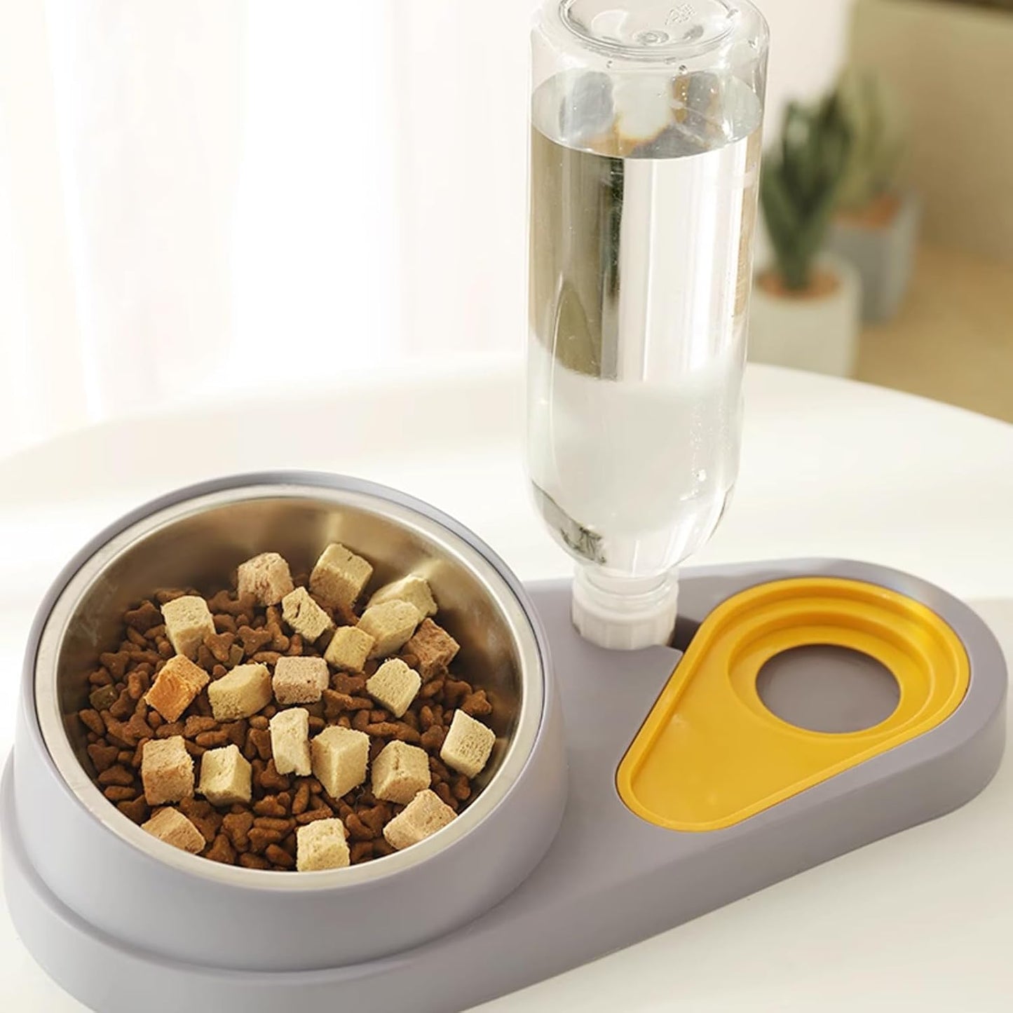 Pet Bowl Water Fountain Pet Dog Basin