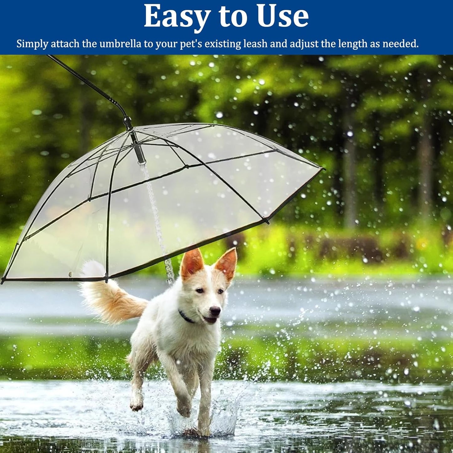 Dog's Transparent Umbrella With Traction Chain Removable Umbrella