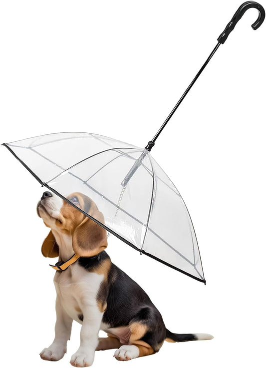 Dog's Transparent Umbrella With Traction Chain Removable Umbrella